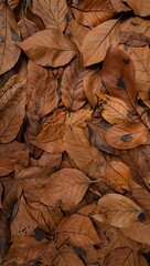 Close up of a pile of dry brown autumn leaves showing rich textures.