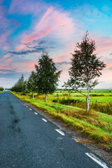 Beautiful sunrise along the road lined with birch trees in Sweden’s serene countryside