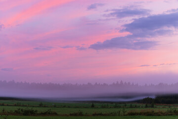 Sunrise mist envelops fields in Sweden, creating a serene tranquil atmosphere at dawn