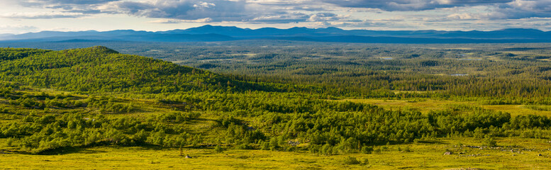 Scenic view of lush forests and mountains in Norway during a bright daytime