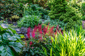 Seatac Garden Plants 2