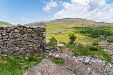 walking around Llyn y Gader in Snowdonia North Wales