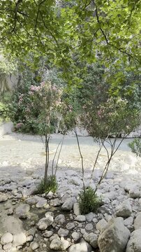 River in the canyon
