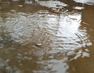 Puddle Ripples After Rain