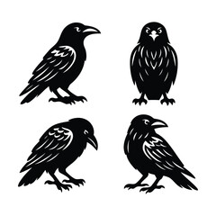 Fototapeta premium Set of Black Crow and Raven Silhouette Vector Illustrations