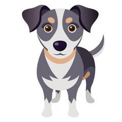 Fototapeta premium dog vector image on white background 
