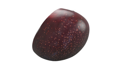 A shiny, dark red seed with a smooth surface and small speckles, likely representing a tropical fruit or plant seed.