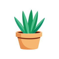 cactus in a pot isolated