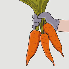 An image of a carrot being held in a hand.