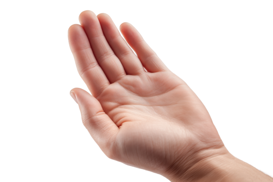 Human hand gestures including thumbs up and open palm PNG with a transparent background