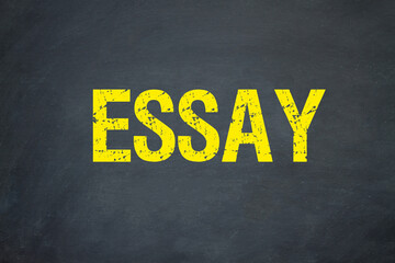 Essay	
