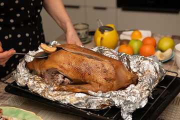 Housewife serving a whole roasted goose in aluminum foil for Christmas dinner, festive food
