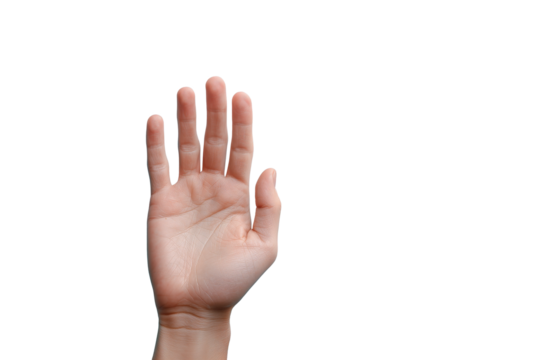 Open and raised human hand gestures PNG with a transparent background

