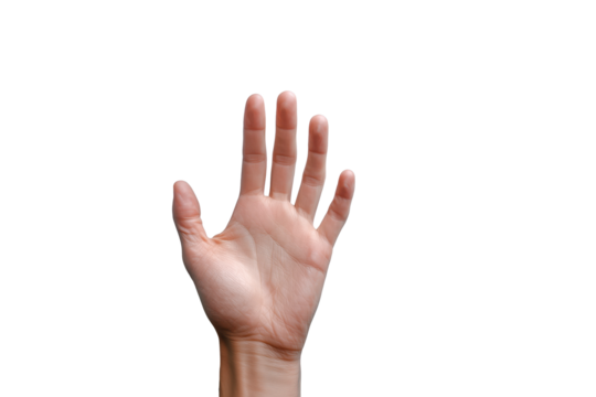 Open and raised human hand gestures PNG with a transparent background

