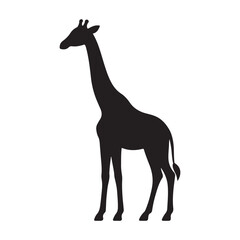 Giraffe silhouette vector art. Giraffe illustration on white background.