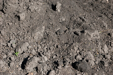 Dry, clumpy earth texture with small mounds — a natural soil background.