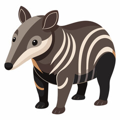 zebra vector illustration