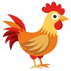 rooster isolated on white