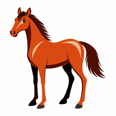 horse vector illustration