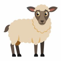 vector illustration of a sheep