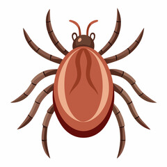 crab spider vector illustration