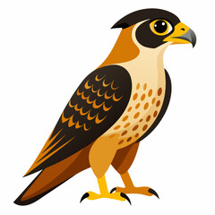 eagle on a white background