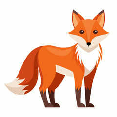 red fox vector illustration