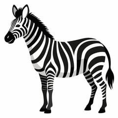zebra vector illustration