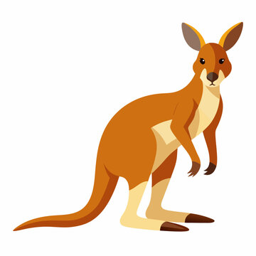 kangaroo with baby
