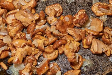 Hot mushroom dish – chanterelles fried with onions in oil. A fragrant dish of fried chanterelles...