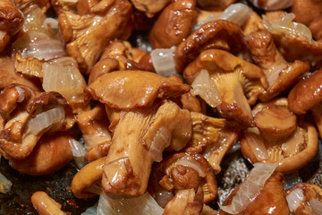 Hot mushroom dish – chanterelles fried with onions in oil. A fragrant dish of fried chanterelles...