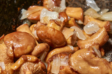 Hot mushroom dish – chanterelles fried with onions in oil. A fragrant dish of fried chanterelles...