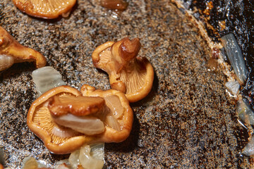 Hot mushroom dish – chanterelles fried with onions in oil. A fragrant dish of fried chanterelles...