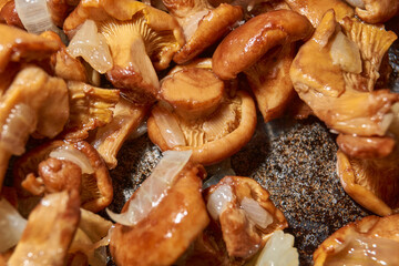 Hot mushroom dish – chanterelles fried with onions in oil. A fragrant dish of fried chanterelles...