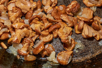Hot mushroom dish – chanterelles fried with onions in oil. A fragrant dish of fried chanterelles and onions in a frying pan. A close–up of fried chanterelles is a simple and delicious meal.