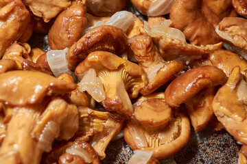 Hot mushroom dish – chanterelles fried with onions in oil. A fragrant dish of fried chanterelles...