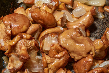 Hot mushroom dish – chanterelles fried with onions in oil. A fragrant dish of fried chanterelles and onions in a frying pan. A close–up of fried chanterelles is a simple and delicious meal.