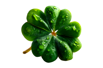 Bright green clover leaf with smooth edges and crisp stem detail, styled for symbol-based cutout overlays, isolated to transparent background