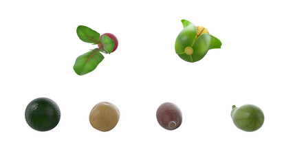 A collection of colorful, stylized fruits and vegetables arranged in a visually appealing manner.