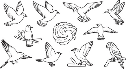 Black and White Line Art Bird Collection Flying Doves Perched Birds Parrot Floral Element pigeon