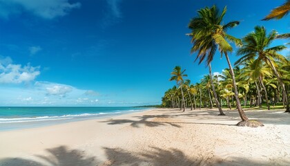 Obraz premium bright scenic view of an empty palm fringed tropical beach in northeast bahia brazil