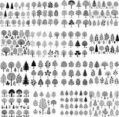 Minimalist black and white line art of trees in botanical outline vector style