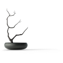 A minimalist plant arrangement featuring a bare branch in a sleek black pot, emphasizing simplicity and elegance.