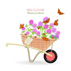 isolated wheelbarrow full of blooming Trifolium pratense flowers. card with red clover wildflowers in a cart with hang tag. medicinal herbal clover blooms in barrow with craft paper tag label