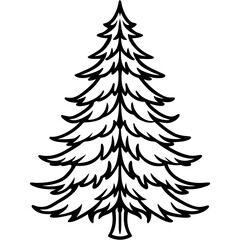 Fir line art vector