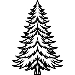 Fir line art vector