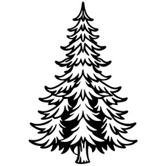 Fir line art vector