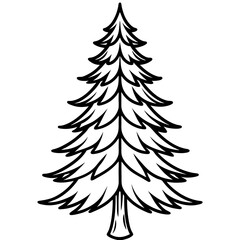 Obraz premium Fir line art vector
