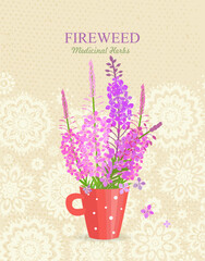 banner with a red cup of blooming fireweed flowers. card with rosebay willowherb wildflowers in a white and red polka mug. medicinal herbal Chamaenerion angustifolium on vintage background