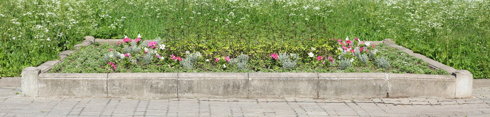 A concrete flowerbed with flowers between the path and a lawn with tall grass